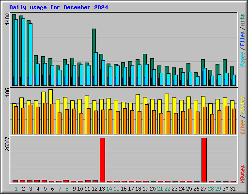 Daily usage for December 2024