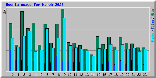 Hourly usage for March 2023