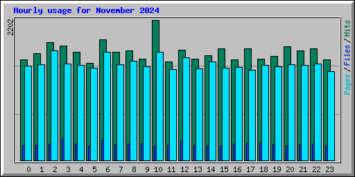Hourly usage for November 2024