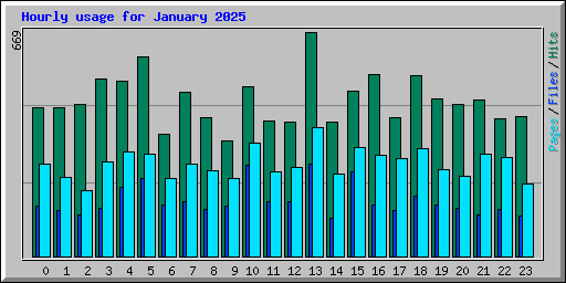 Hourly usage for January 2025
