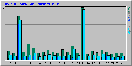 Hourly usage for February 2025