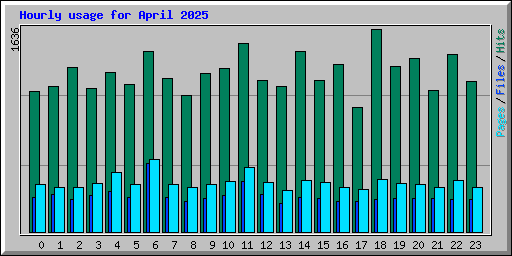 Hourly usage for April 2025