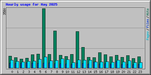 Hourly usage for May 2025
