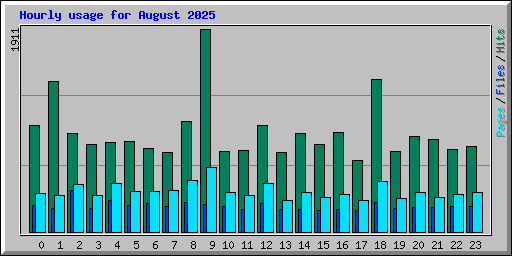Hourly usage for August 2025